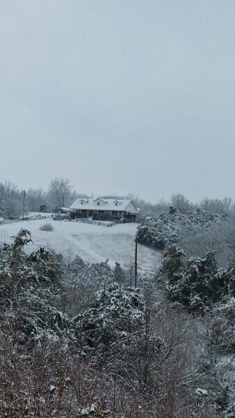2010 Grapevine Road Property Photo 85