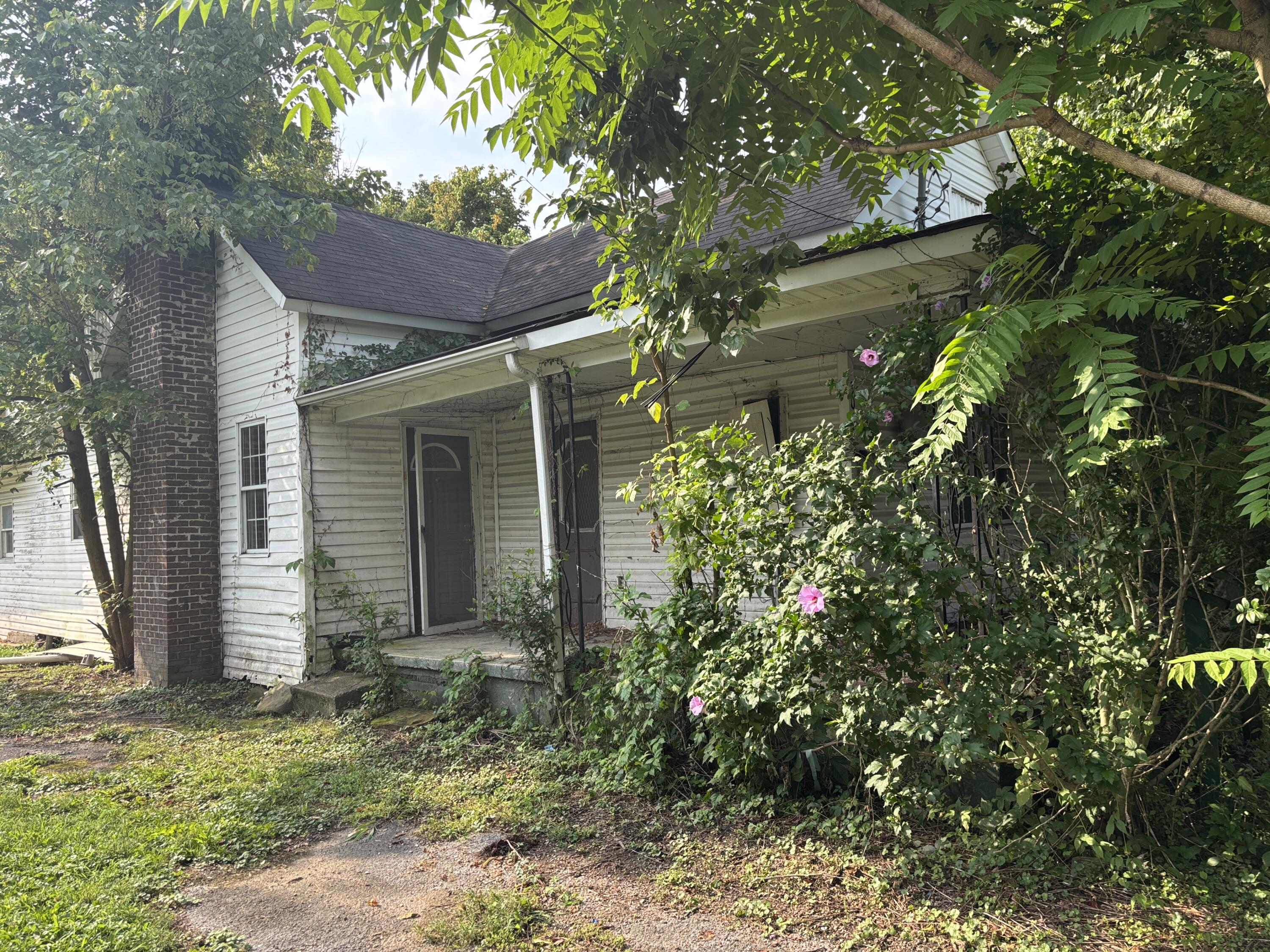 306 3rd Street Property Photo 21
