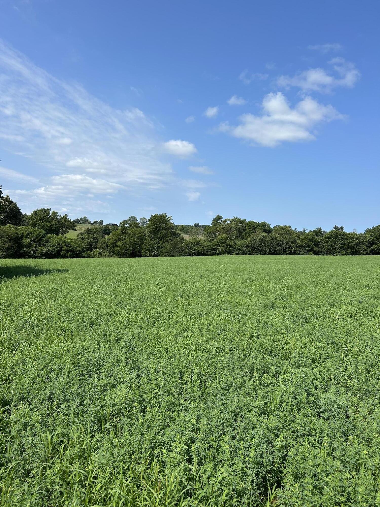 Lot #2 Lucy Lane Property Photo 1