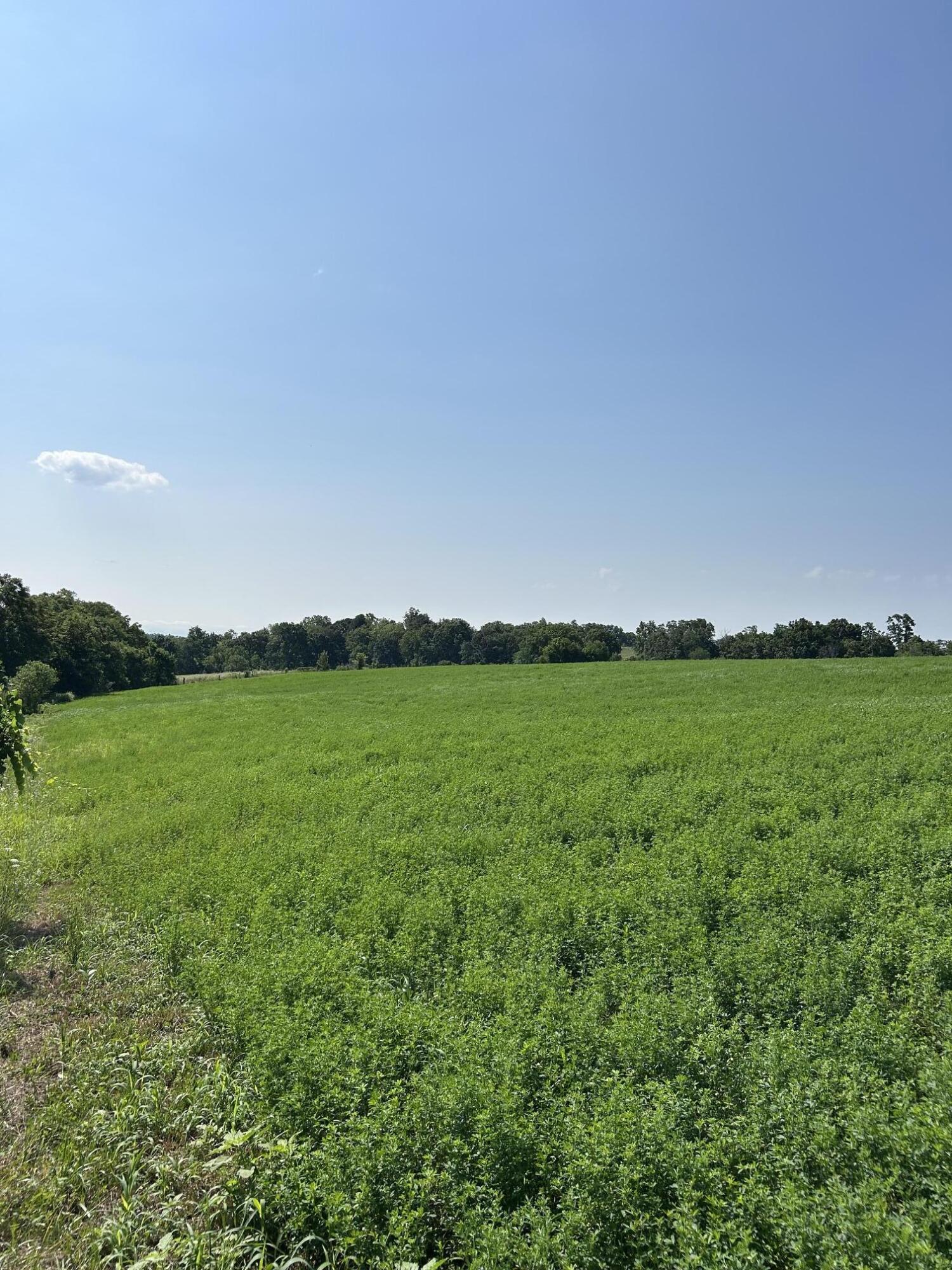 Lot #2 Lucy Lane Property Photo 2