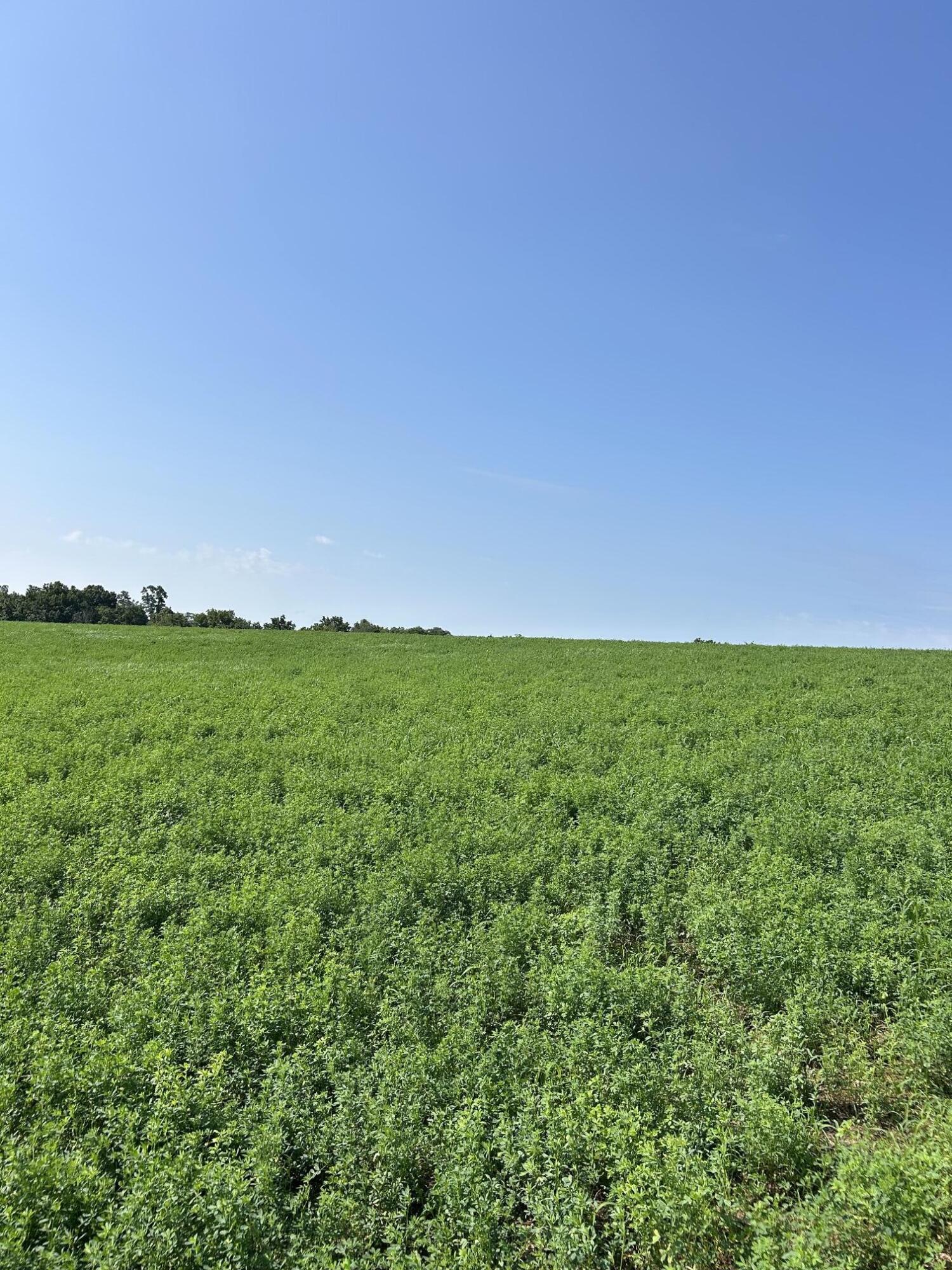 Lot #2 Lucy Lane Property Photo 3