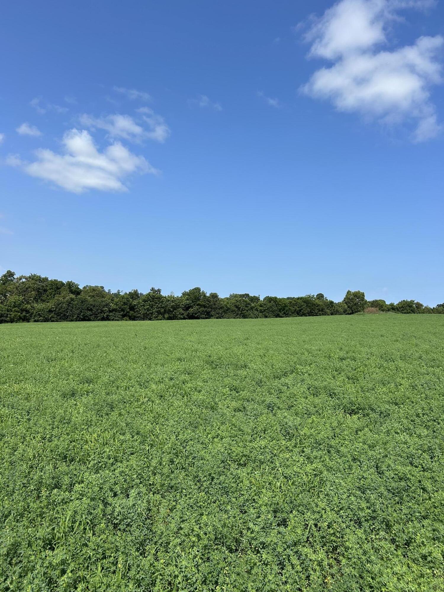 Lot #2 Lucy Lane Property Photo 5