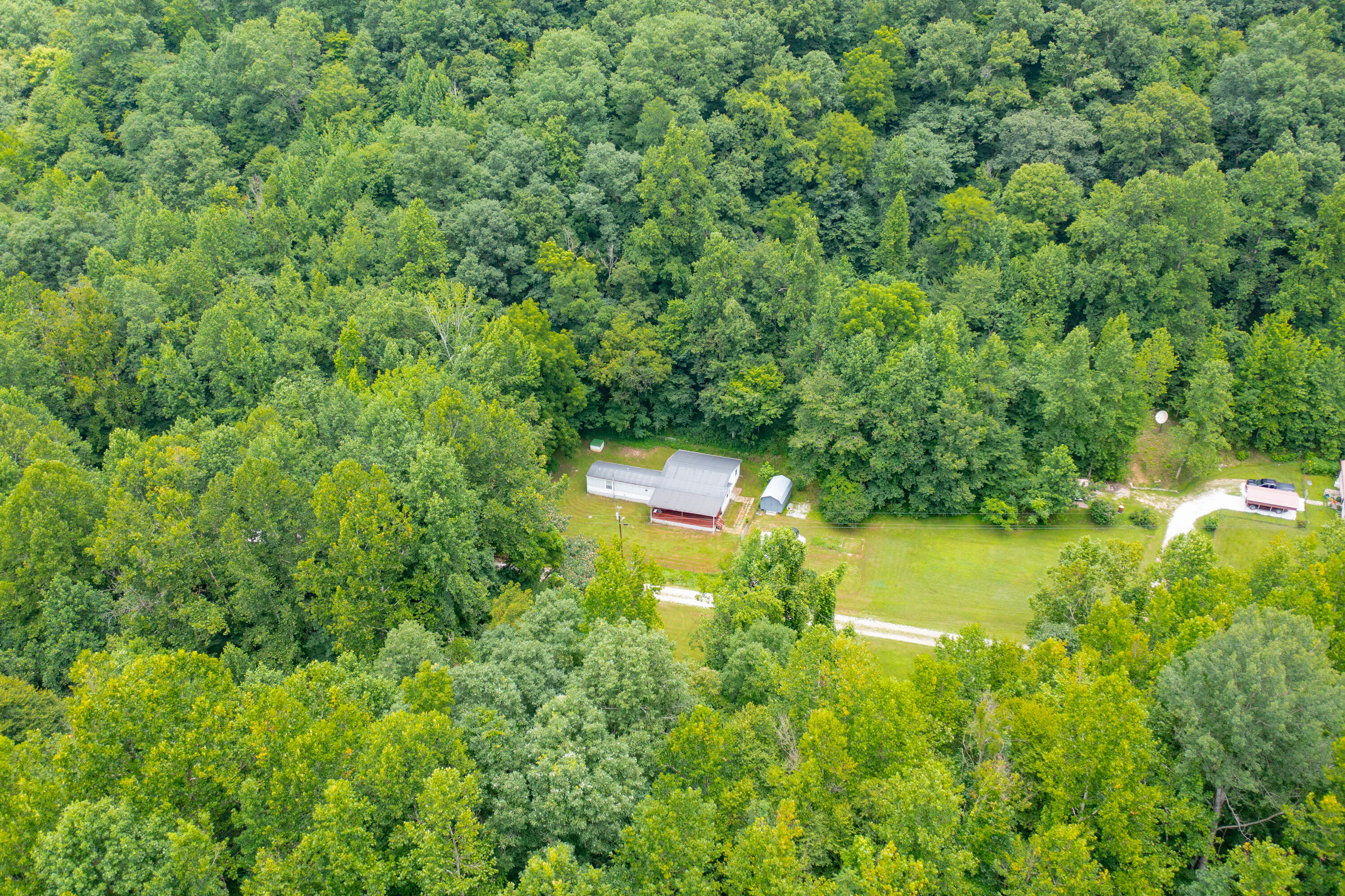 501 Left Fork Moore Creek Road Property Photo 15