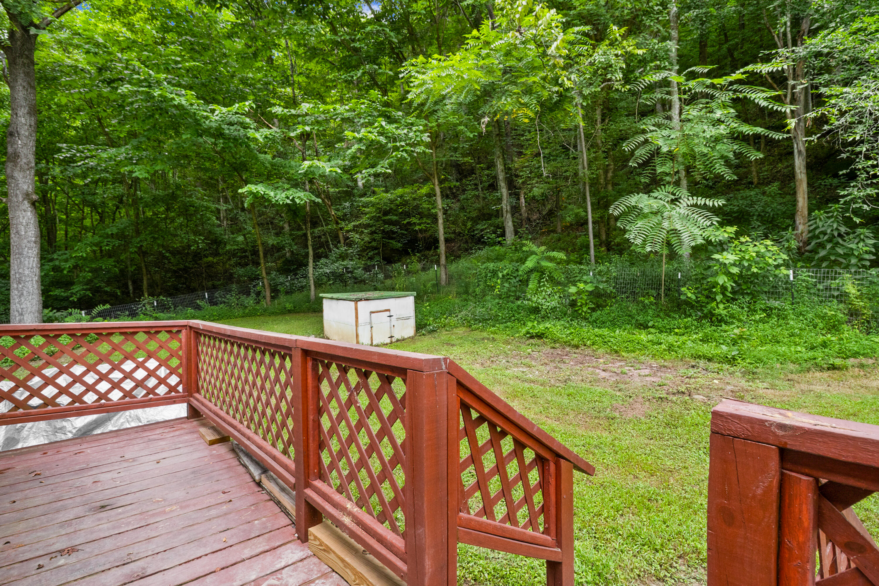 501 Left Fork Moore Creek Road Property Photo 66