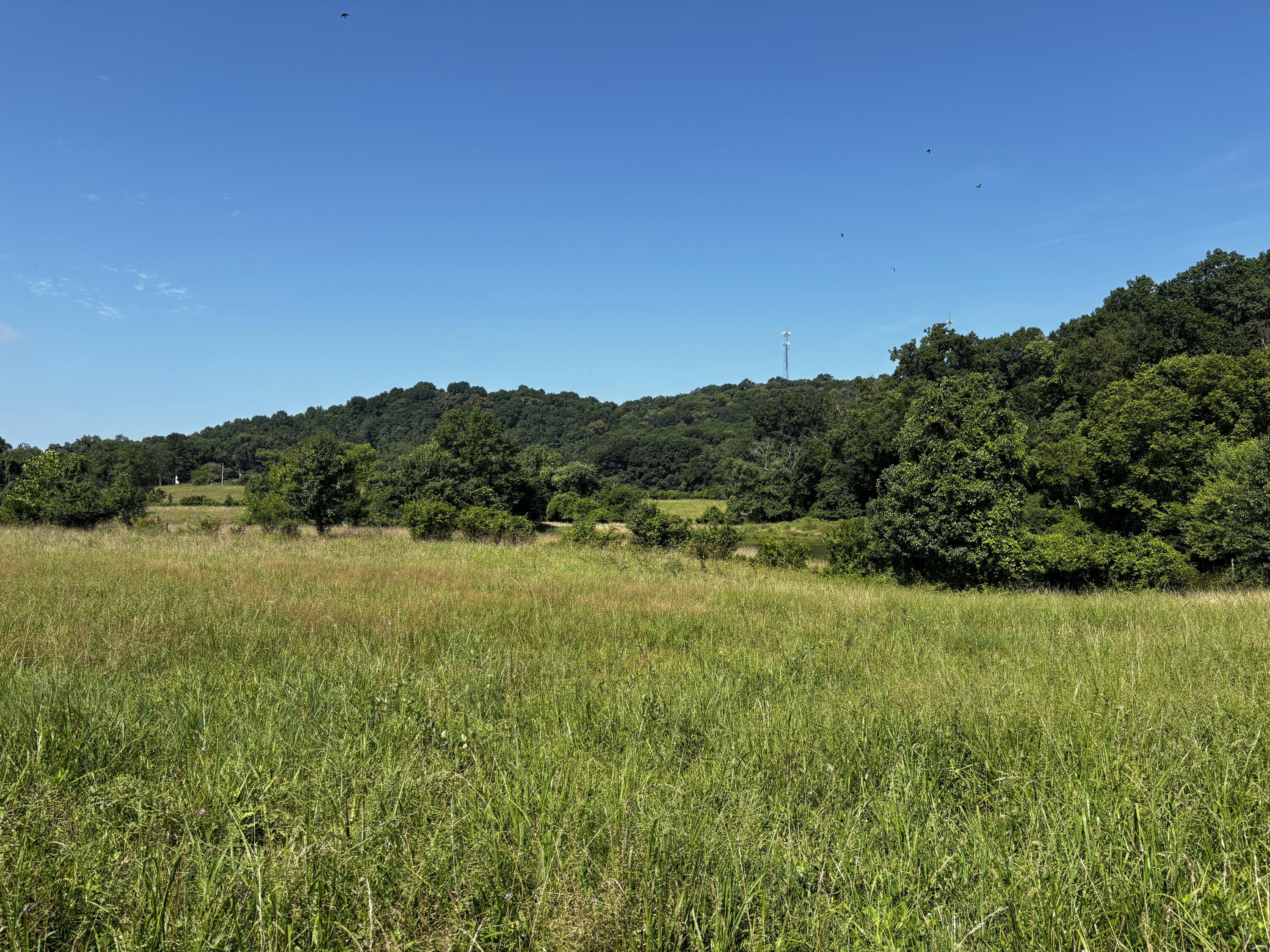 856 Kentucky Avenue Property Photo 1