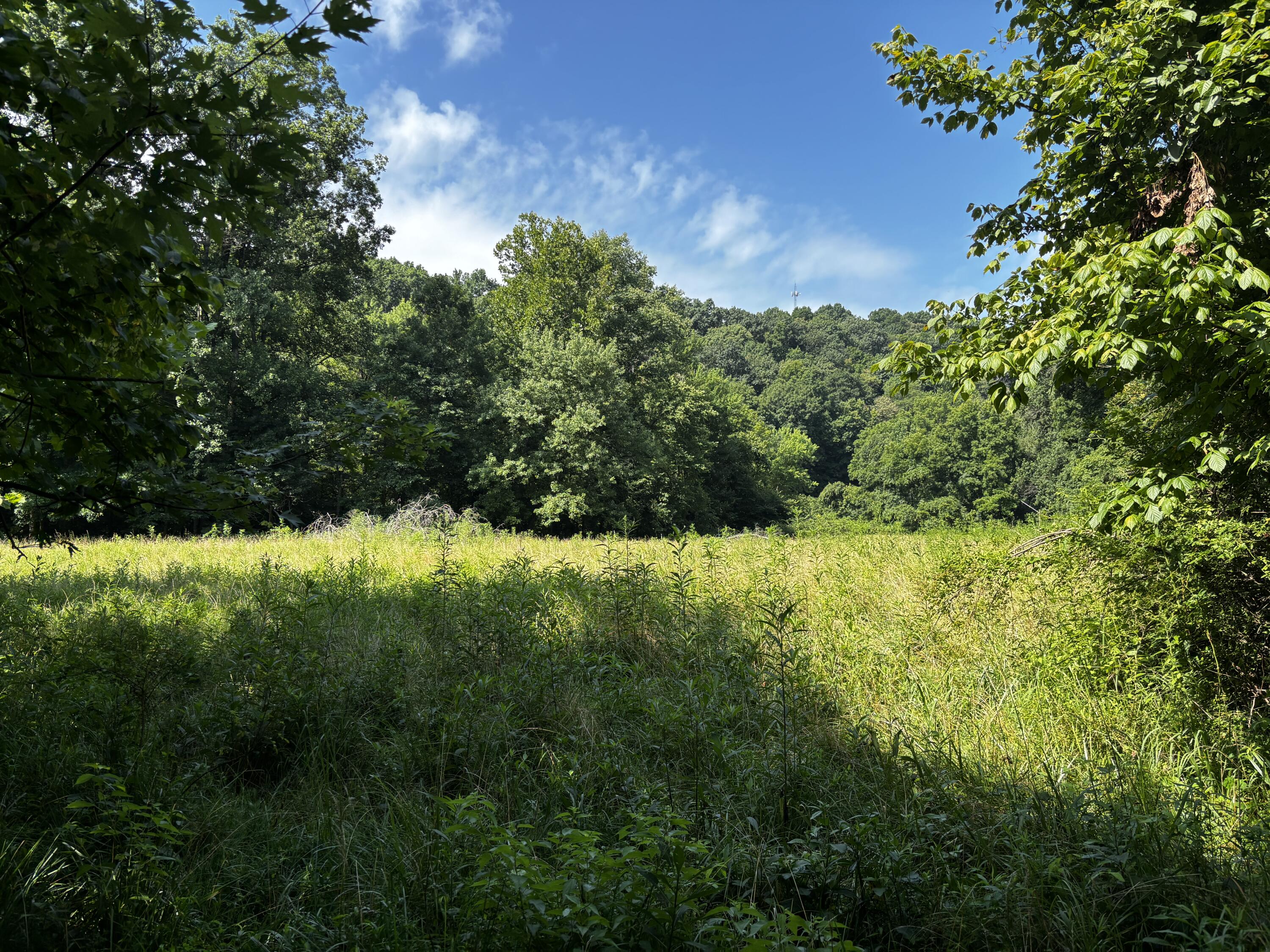 856 Kentucky Avenue Property Photo 8
