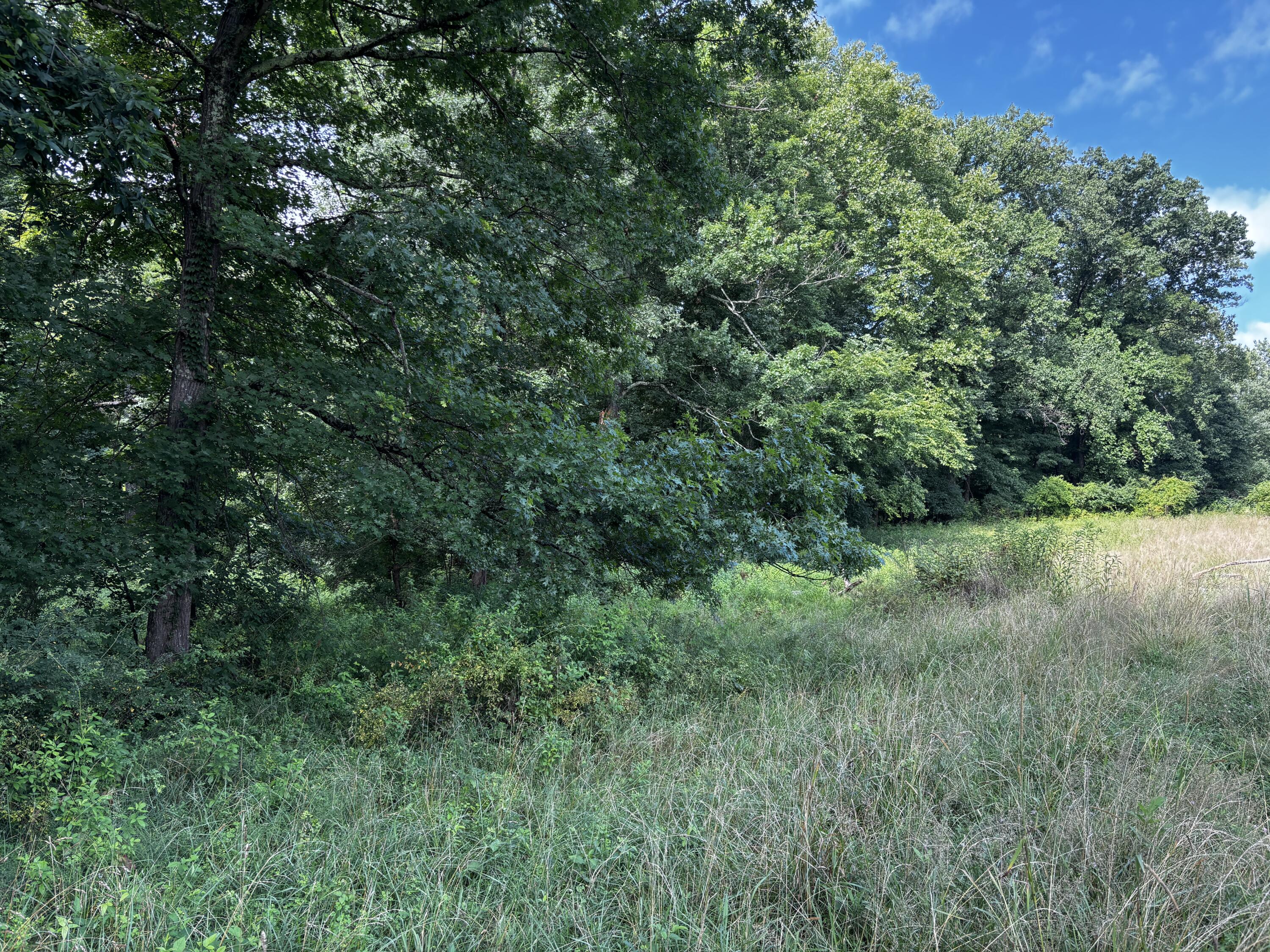 856 Kentucky Avenue Property Photo 9