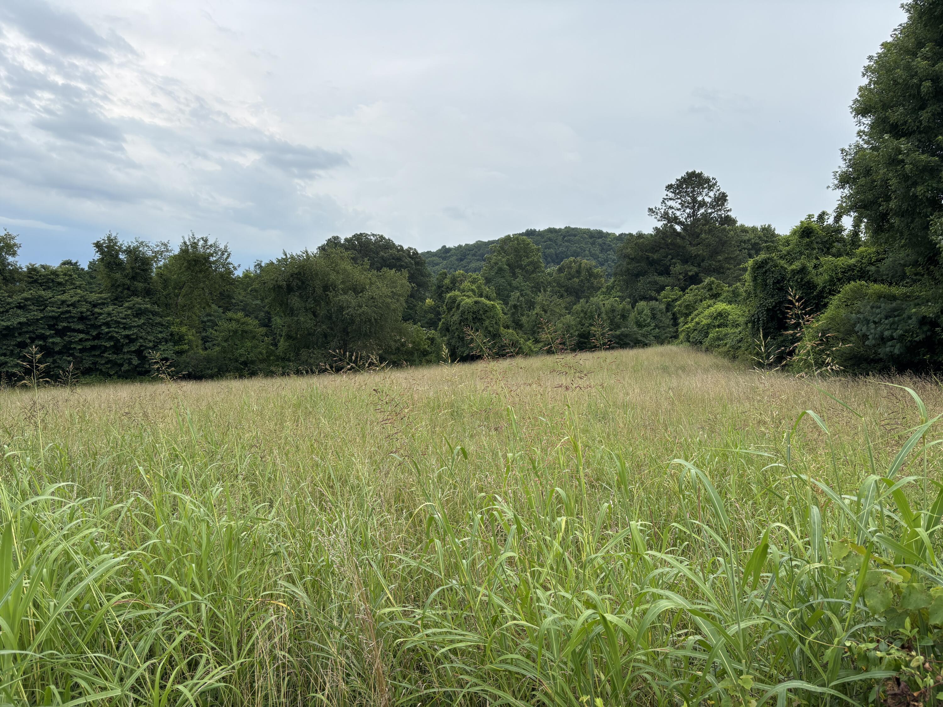 856 Kentucky Avenue Property Photo 11