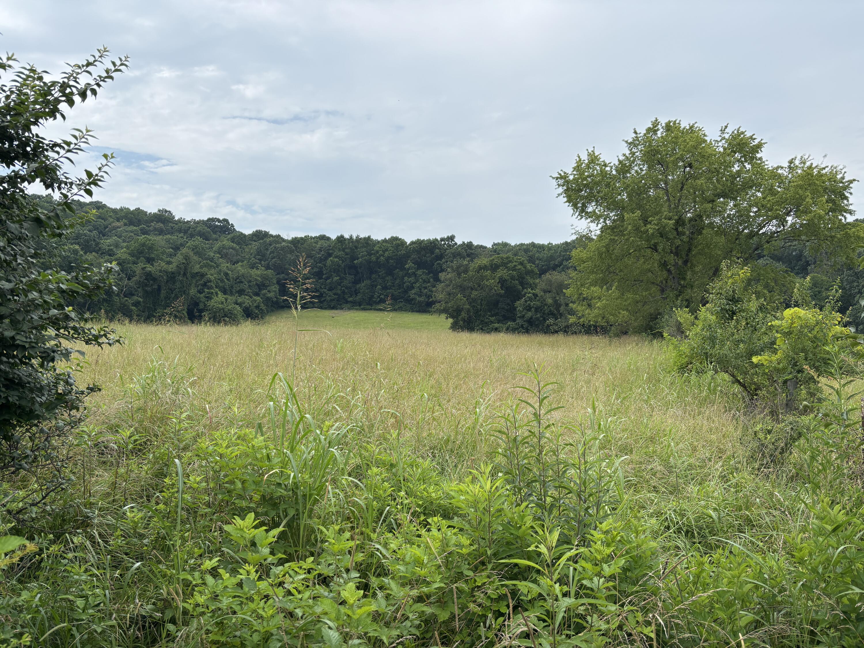 856 Kentucky Avenue Property Photo 13