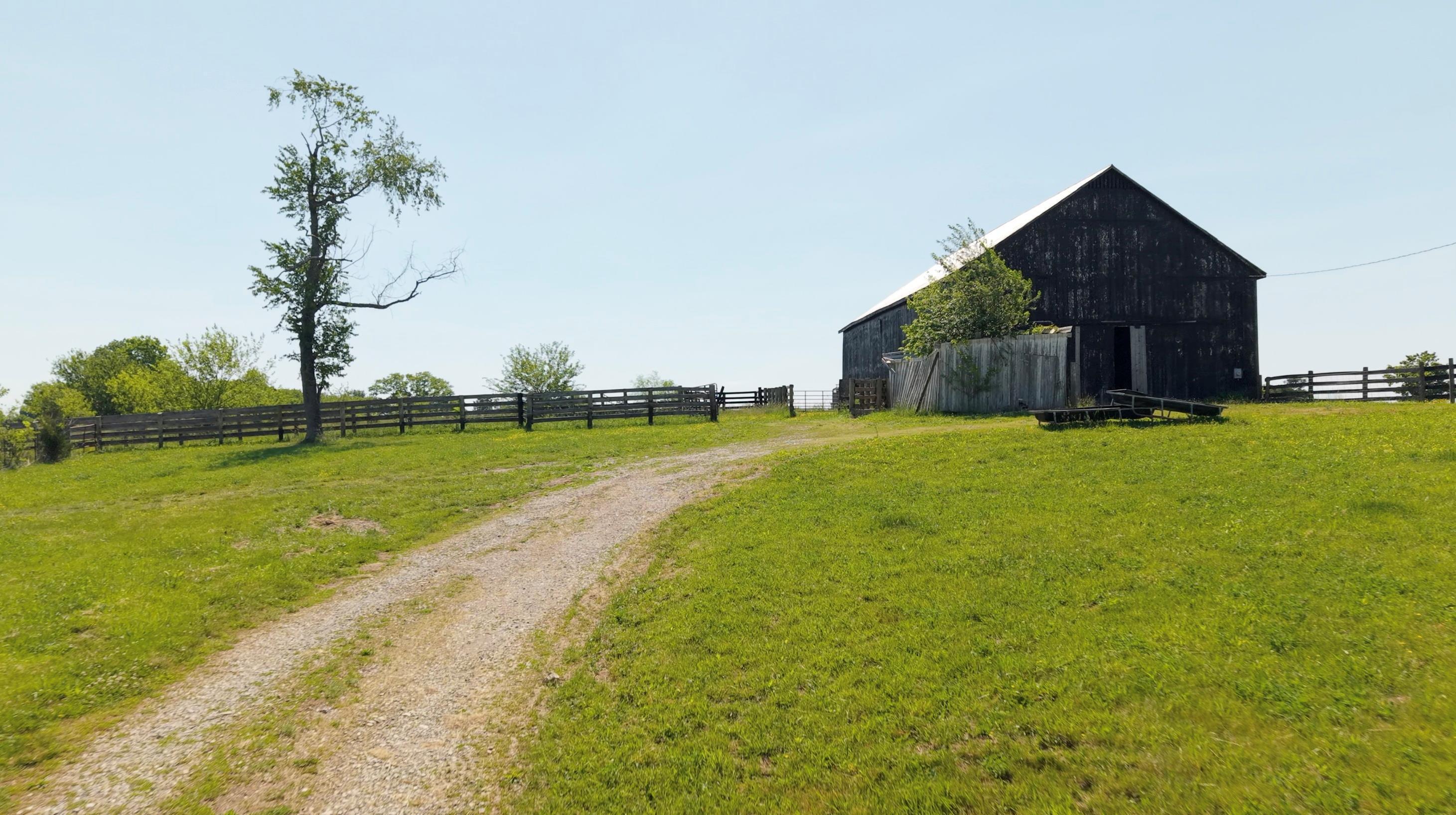 6236 Mccowans Ferry Road Property Photo 8