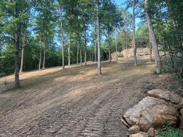 9999 Rocky Branch Road Property Photo 2
