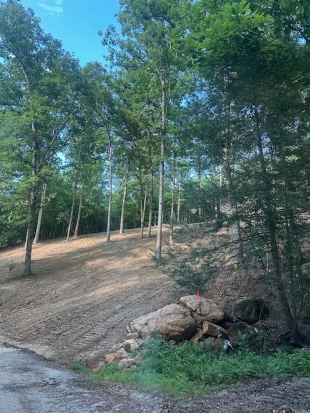 9999 Rocky Branch Road Property Photo 3