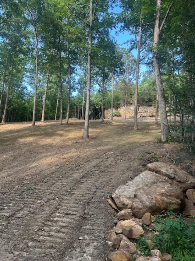 9999 Rocky Branch Road Property Photo 4