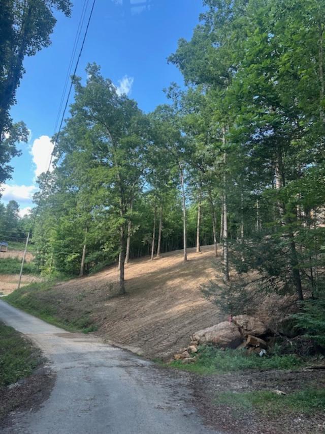 9999 Rocky Branch Road Property Photo 5