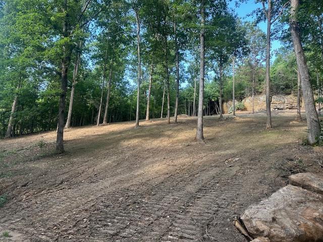 9999 Rocky Branch Road Property Photo 6