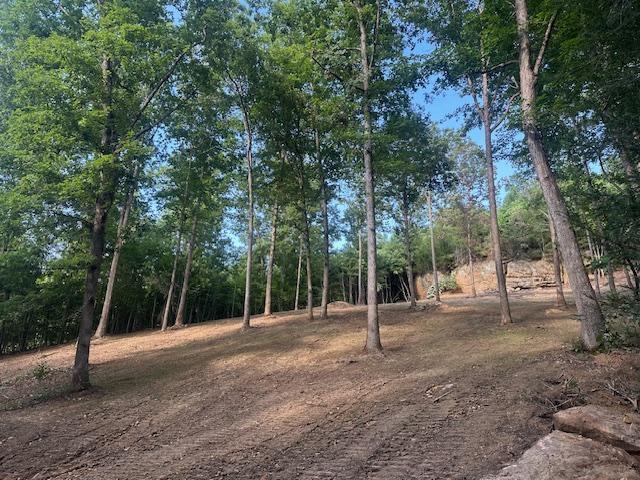 9999 Rocky Branch Road Property Photo 7