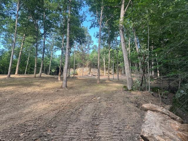 9999 Rocky Branch Road Property Photo 8