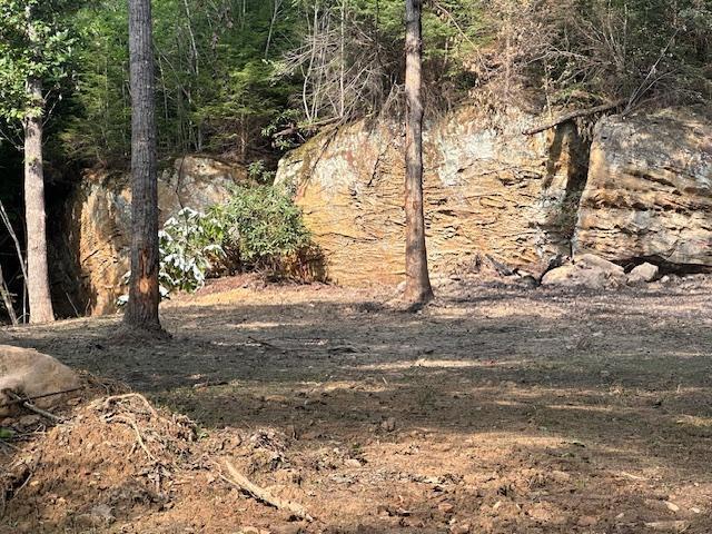 9999 Rocky Branch Road Property Photo 9