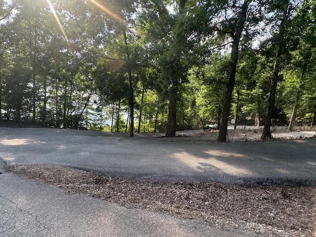 9999 Rocky Branch Road Property Photo 10