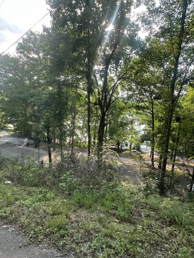 9999 Rocky Branch Road Property Photo 11