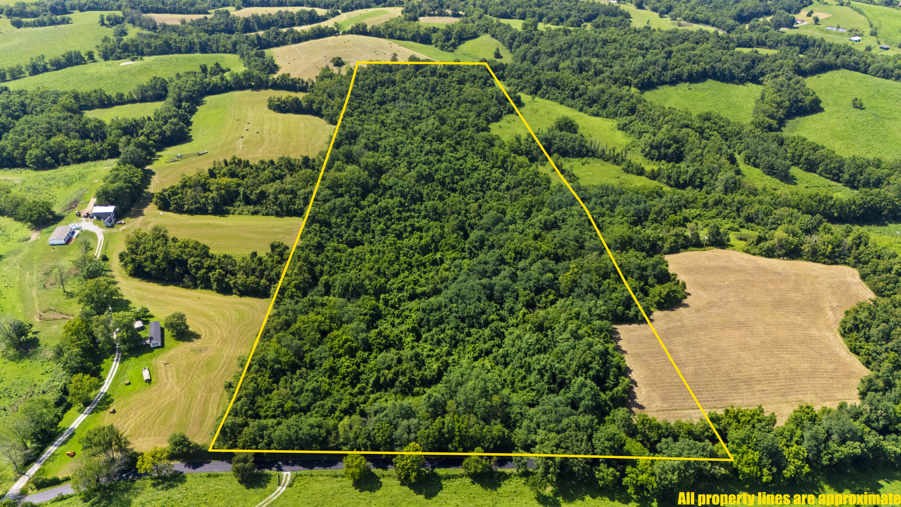 223 Plum Lick Road Property Photo 1