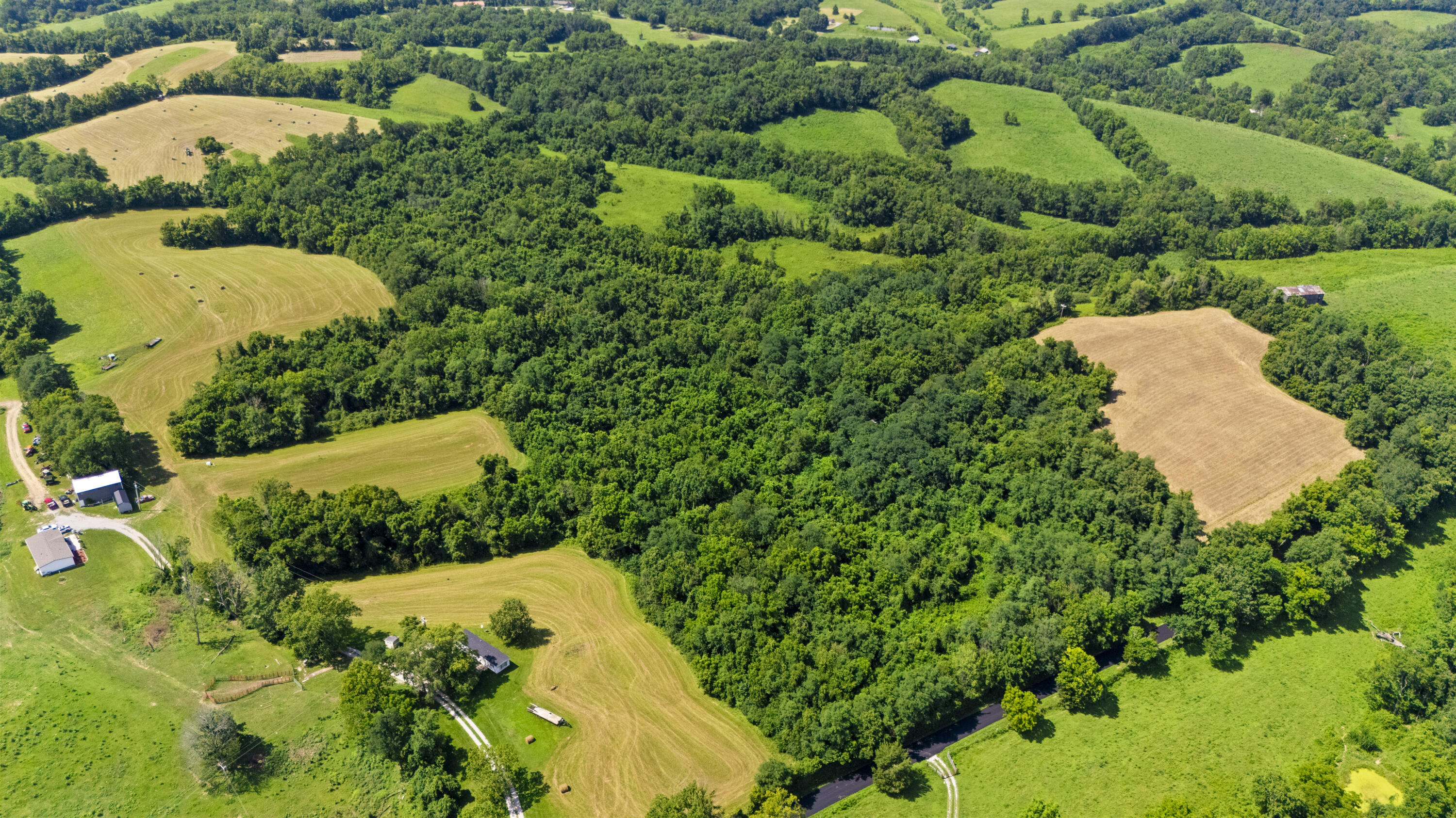 223 Plum Lick Road Property Photo 3