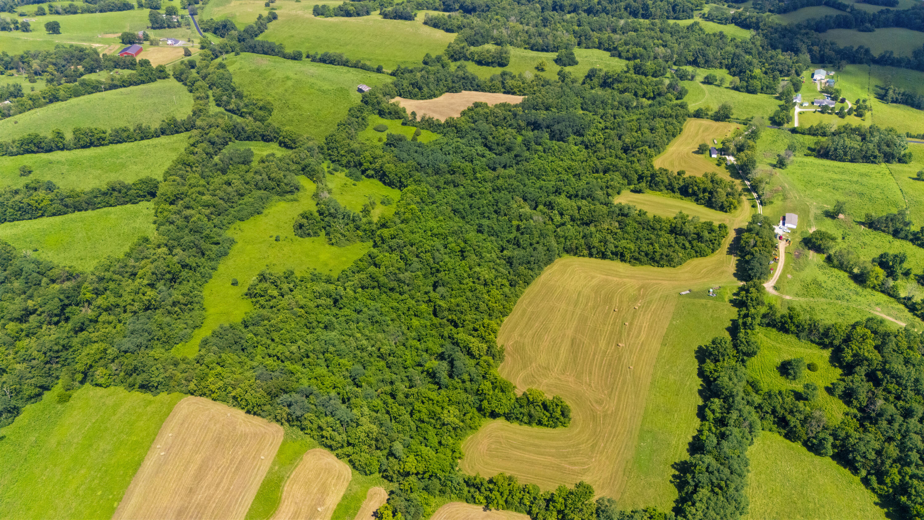 223 Plum Lick Road Property Photo 5