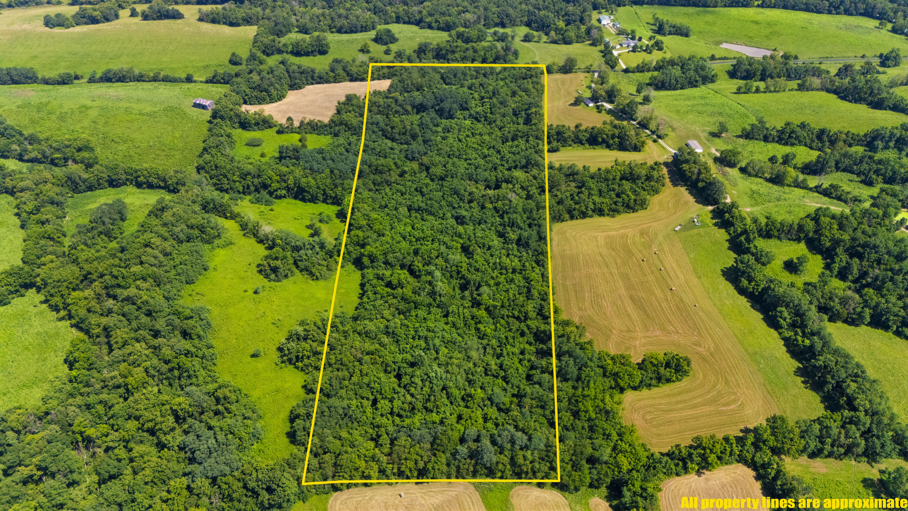 223 Plum Lick Road Property Photo 6