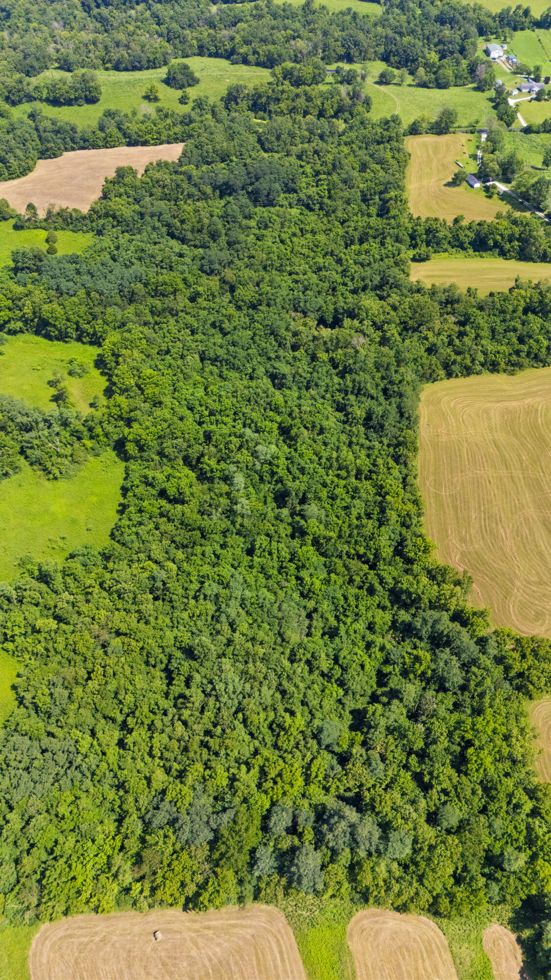223 Plum Lick Road Property Photo 8