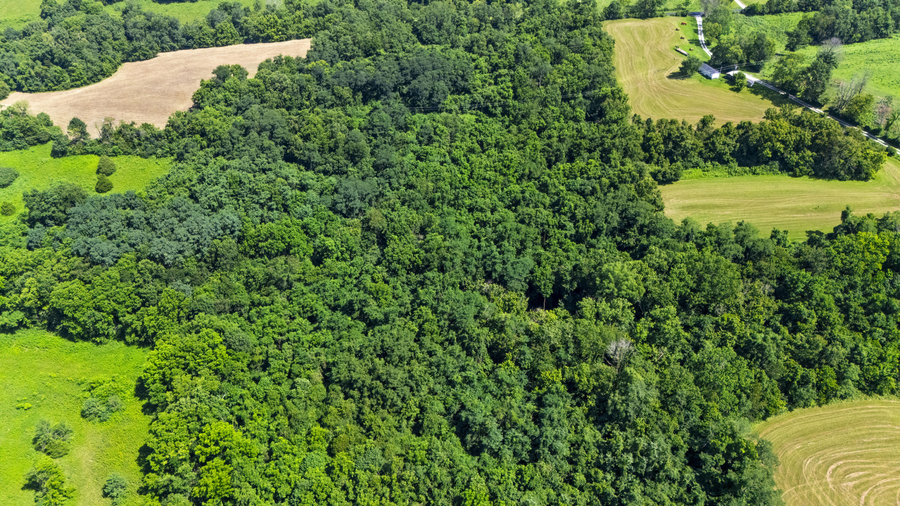 223 Plum Lick Road Property Photo 9
