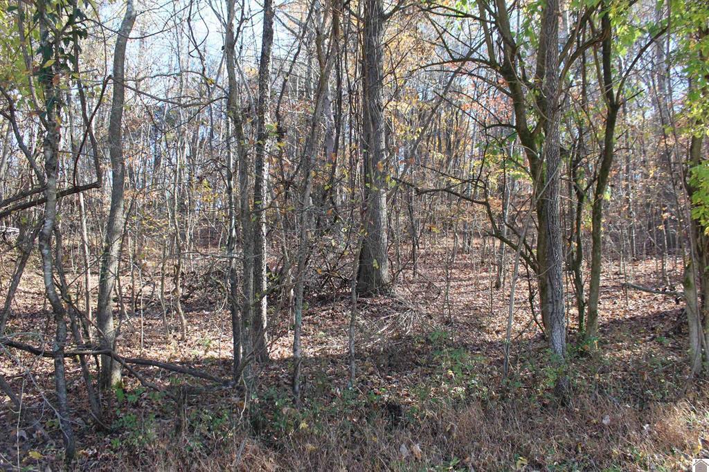 Lot 51 Backstrom Heights Road 63d-51 Property Photo 2