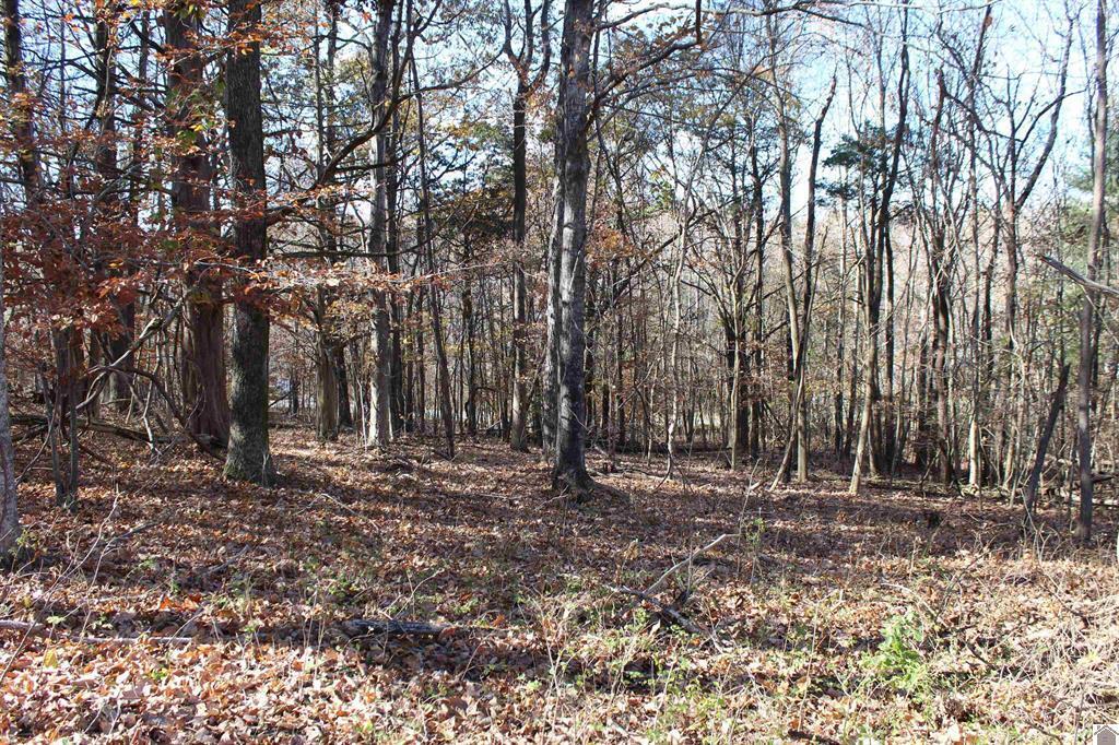 Lot 51 Backstrom Heights Road 63d-51 Property Photo 3