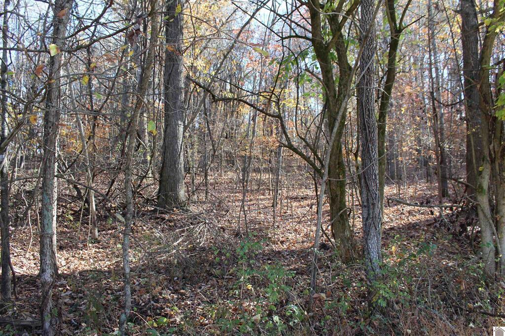 Lot 51 Backstrom Heights Road 63d-51 Property Photo 4