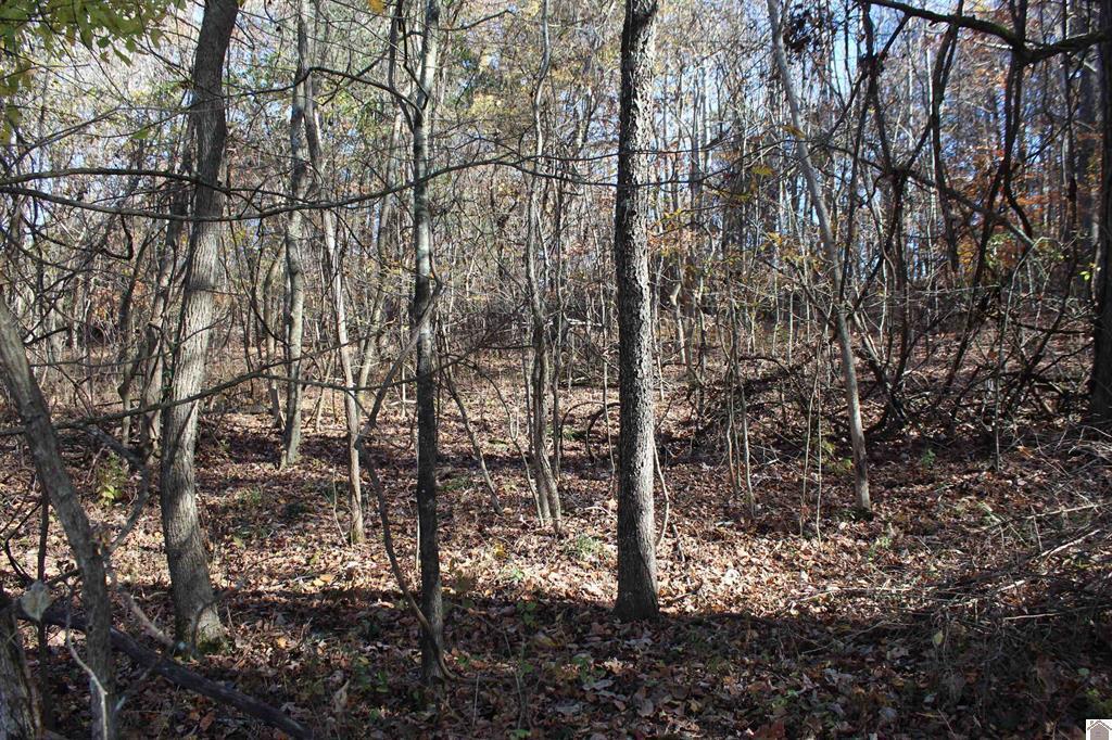 Lot 51 Backstrom Heights Road 63d-51 Property Photo 5