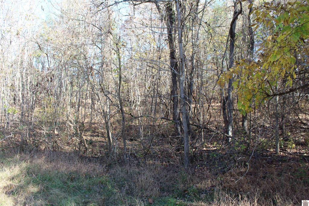 Lot 51 Backstrom Heights Road 63d-51 Property Photo 6
