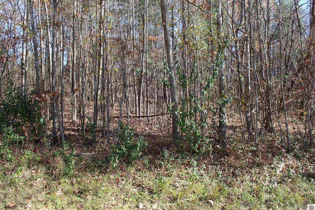 Lot 51 Backstrom Heights Road 63d-51 Property Photo 7