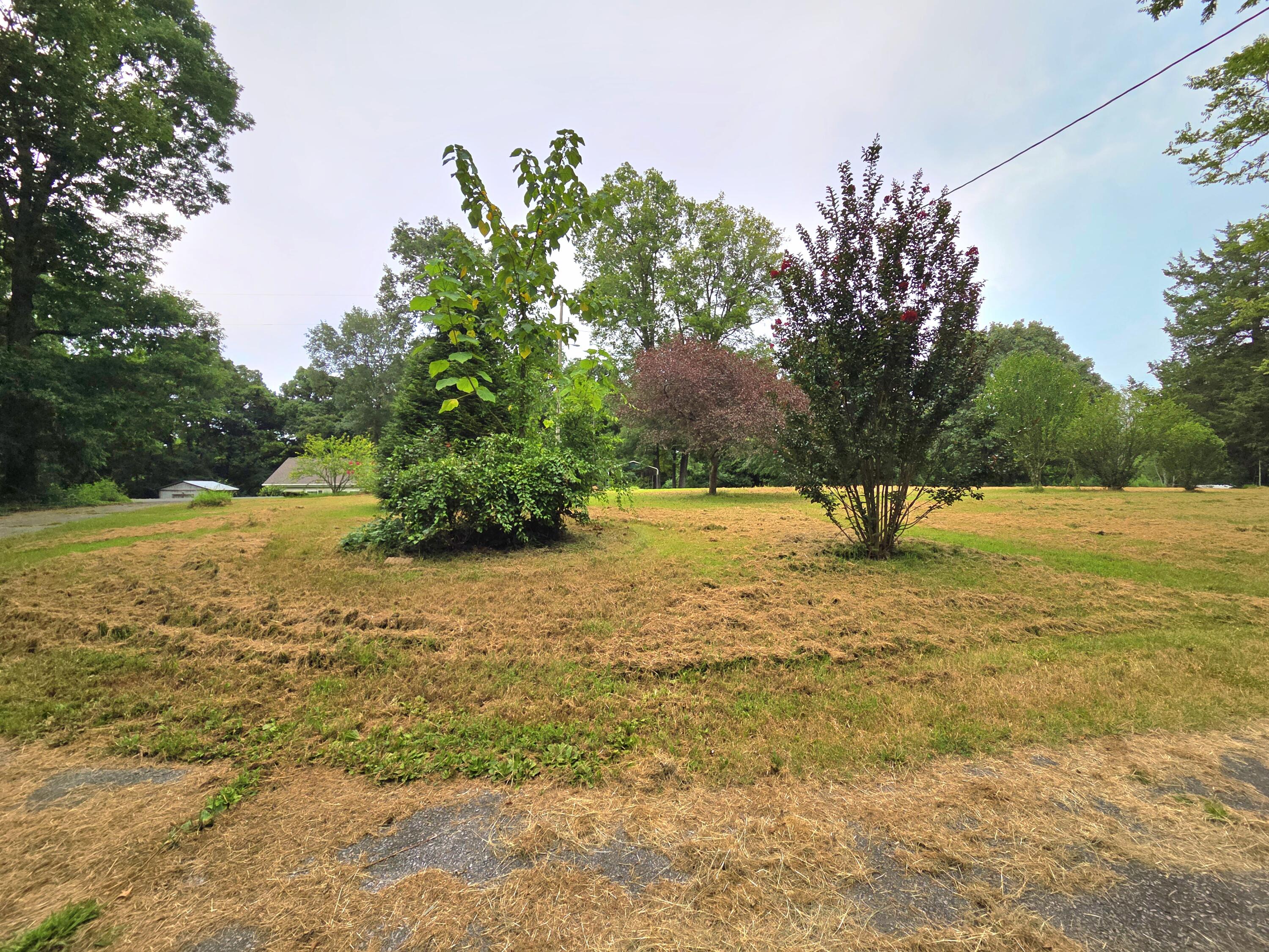 642 Oakley Road Property Photo 9