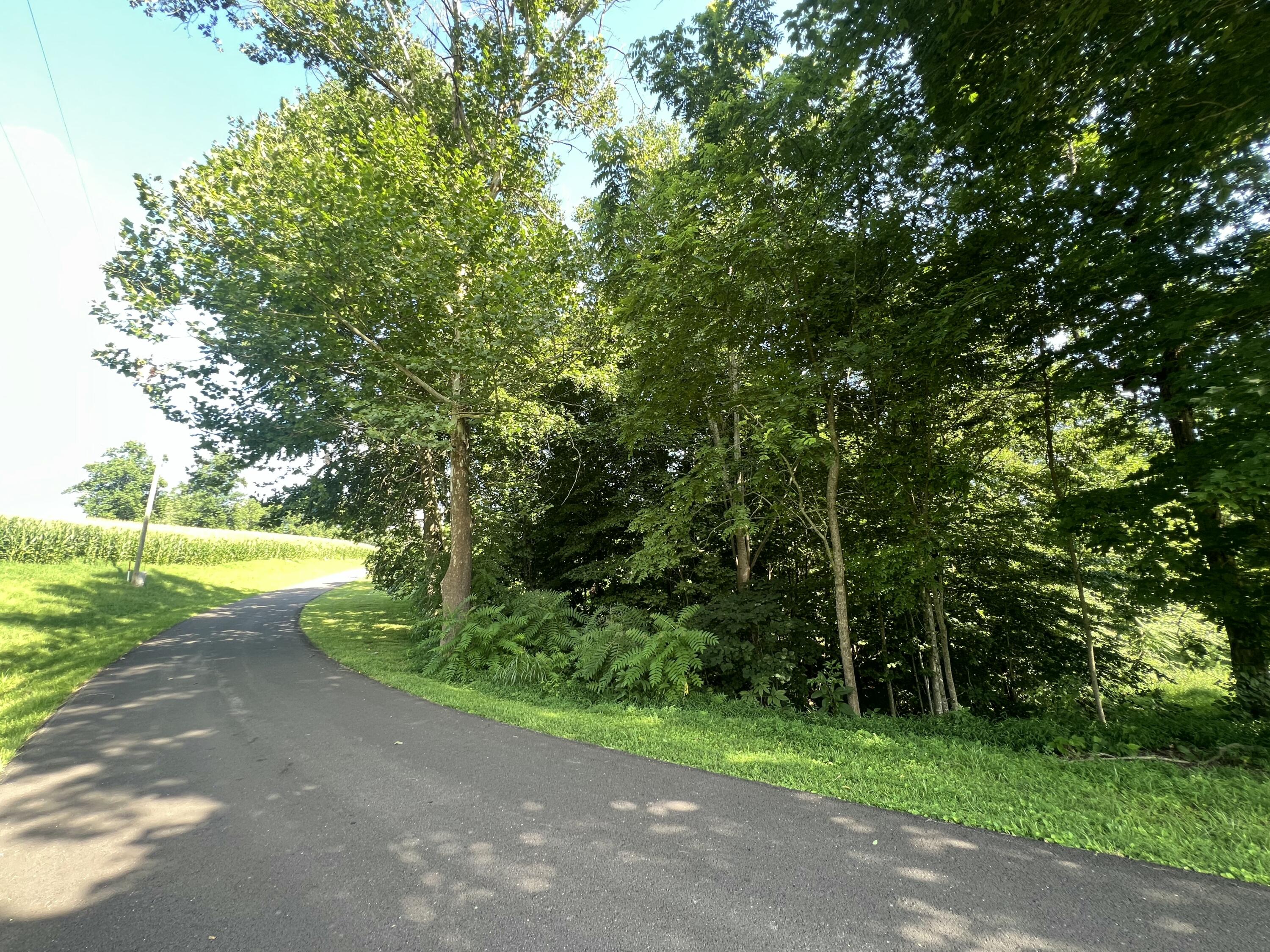 11 Cherry Loop Loop Property Photo 4
