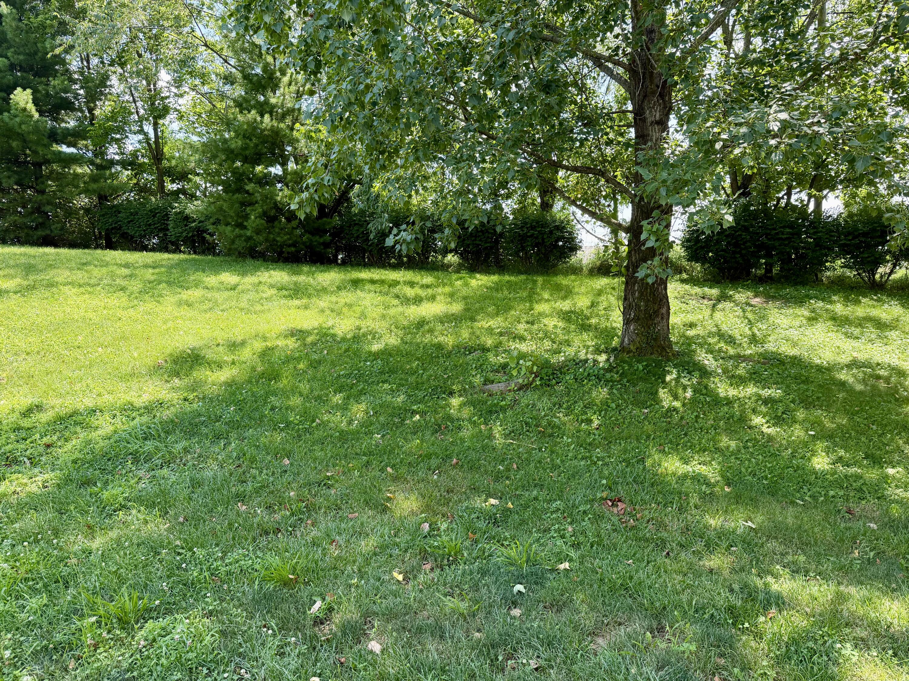 117 Cabot Place Property Photo 31