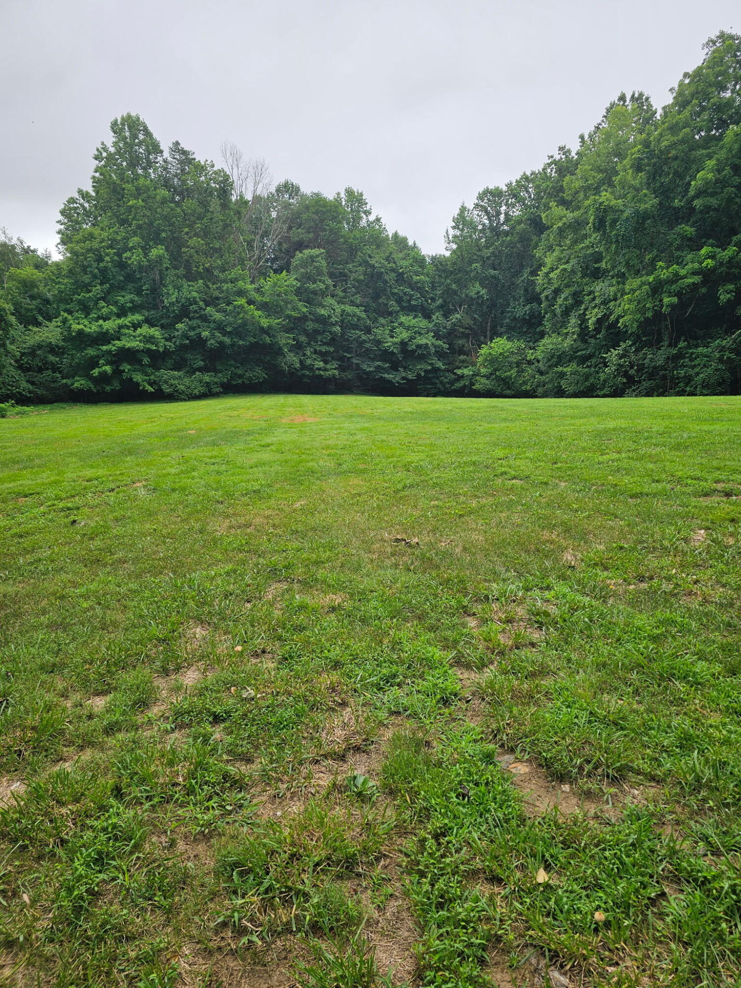 253 Sparks Road Property Photo 10