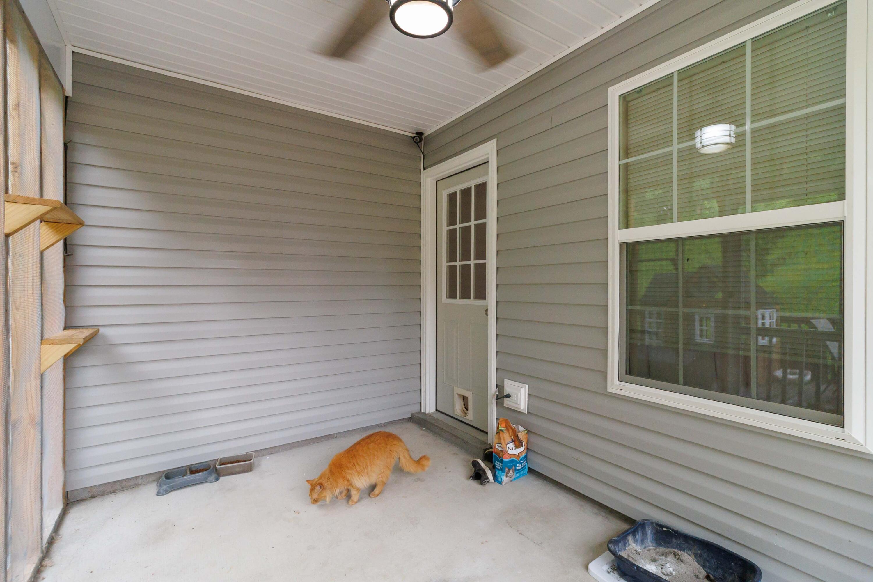 316 Buffalo Trace Property Photo 29