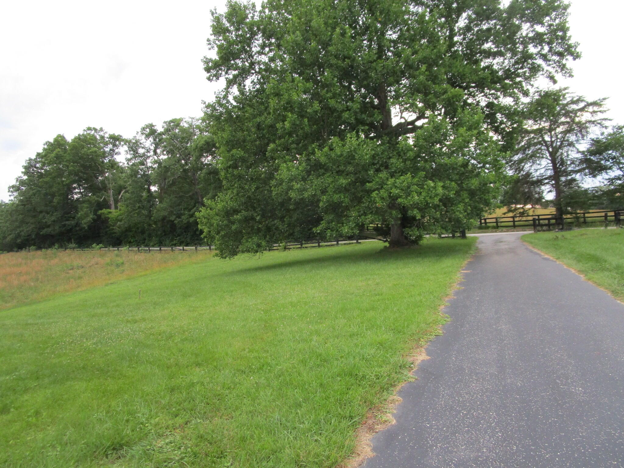 44 Happy Top Road Property Photo 18