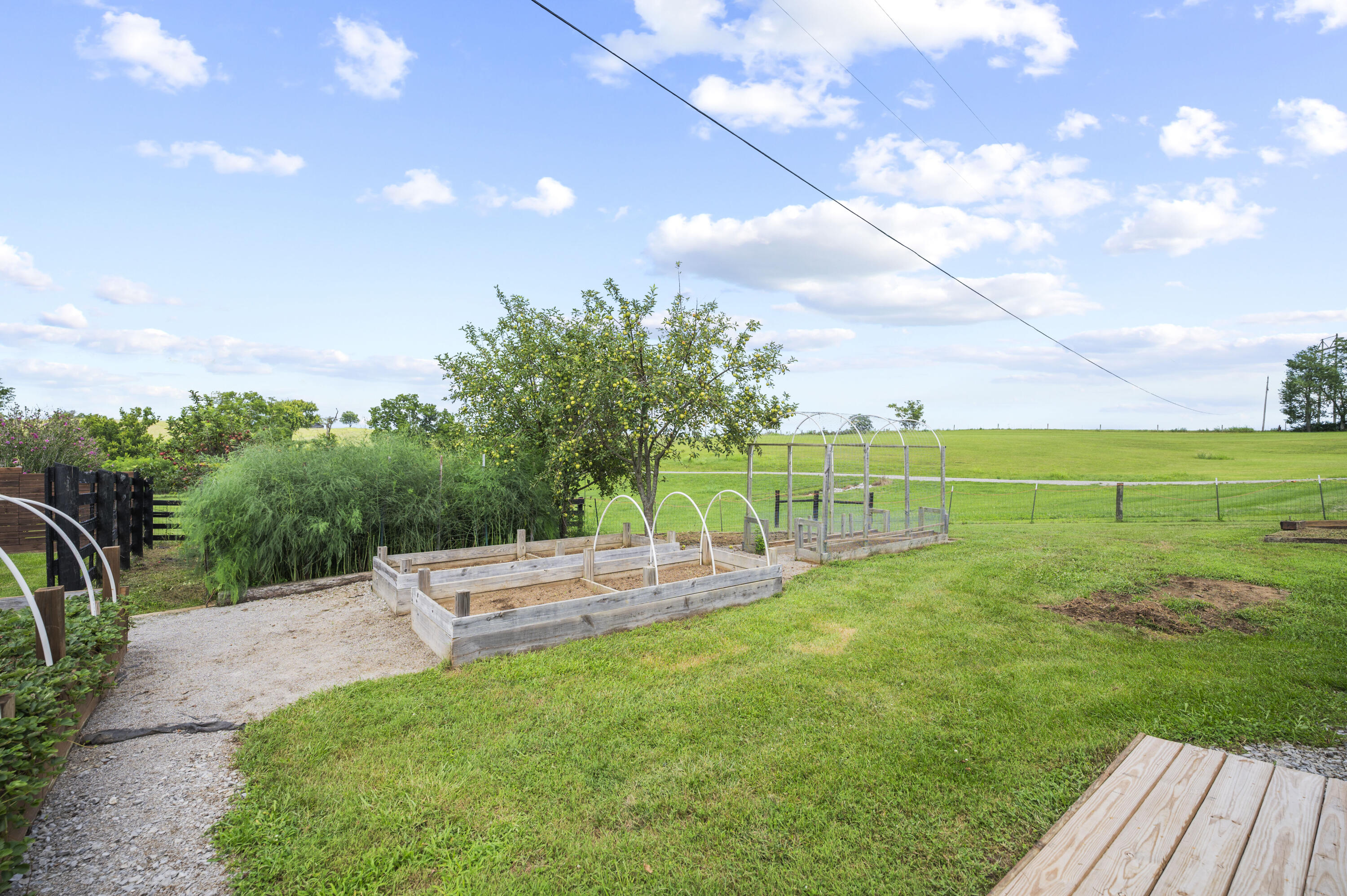 559 Moran Summit Road Property Photo 54