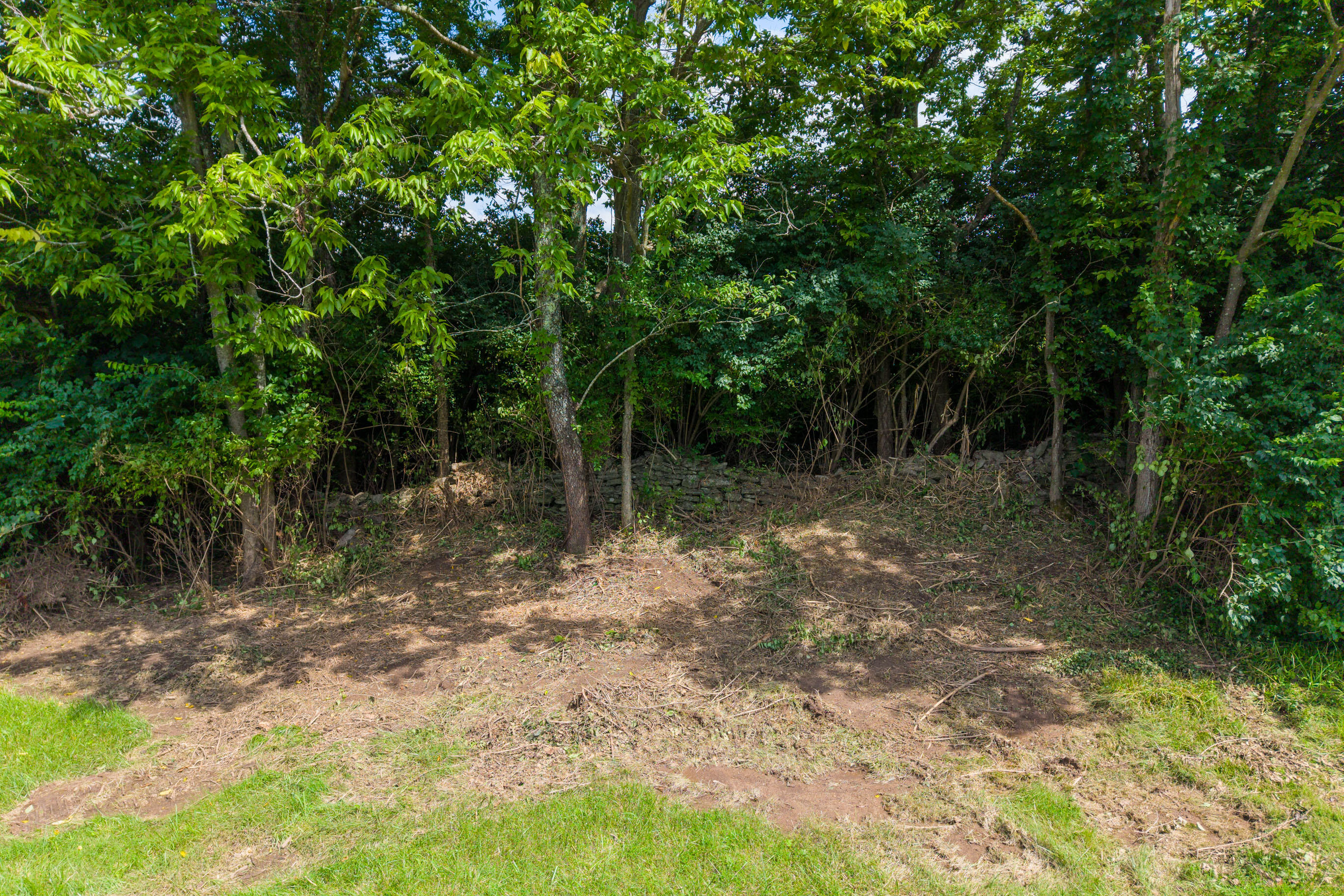 559 Moran Summit Road Property Photo 67