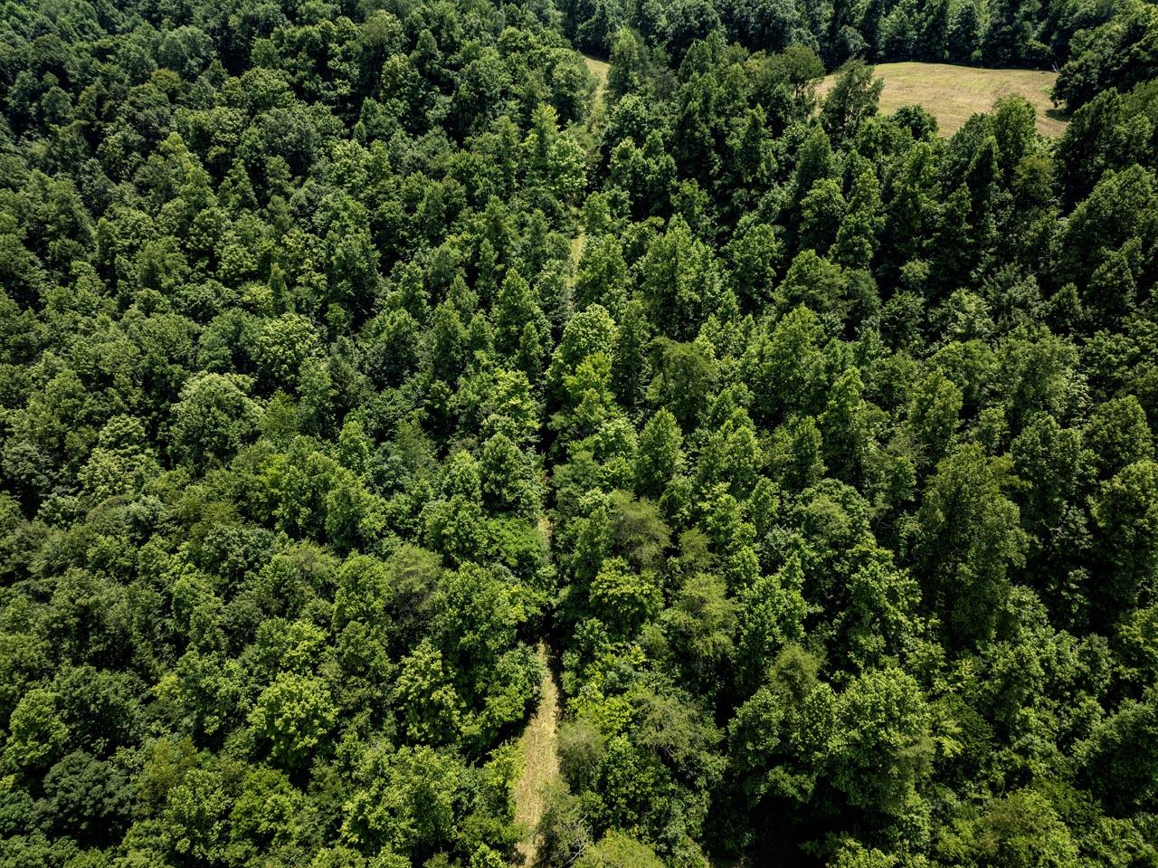 1990 State Highway 556 Property Photo 17