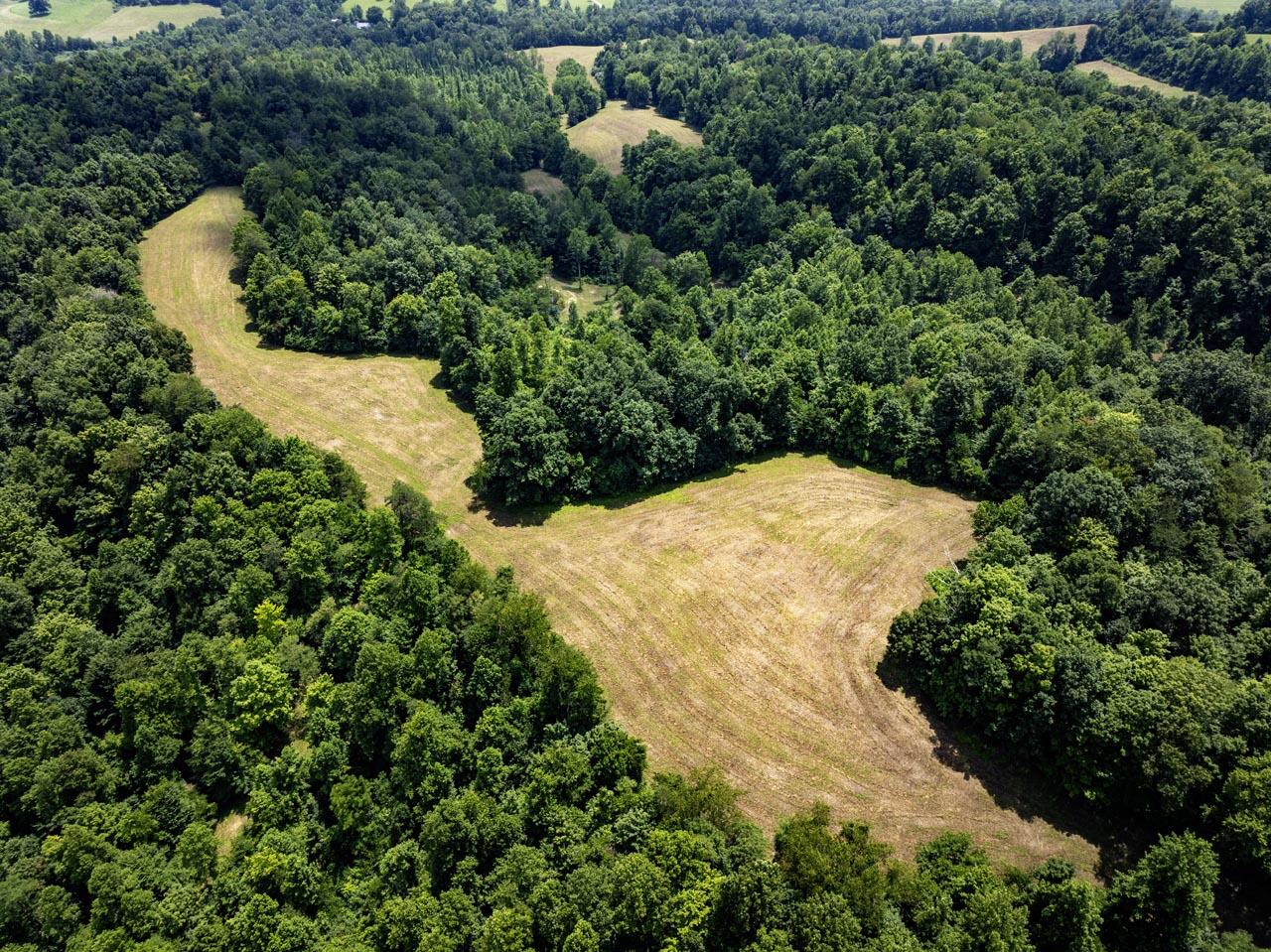 1990 State Highway 556 Property Photo 18