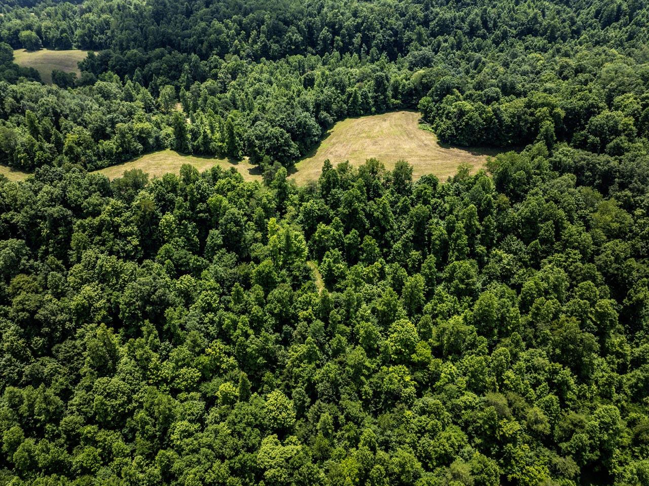 1990 State Highway 556 Property Photo 23