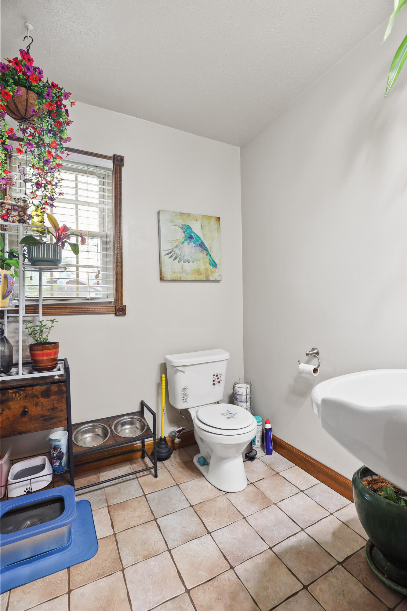 322 Spring Cut Circle Property Photo 7