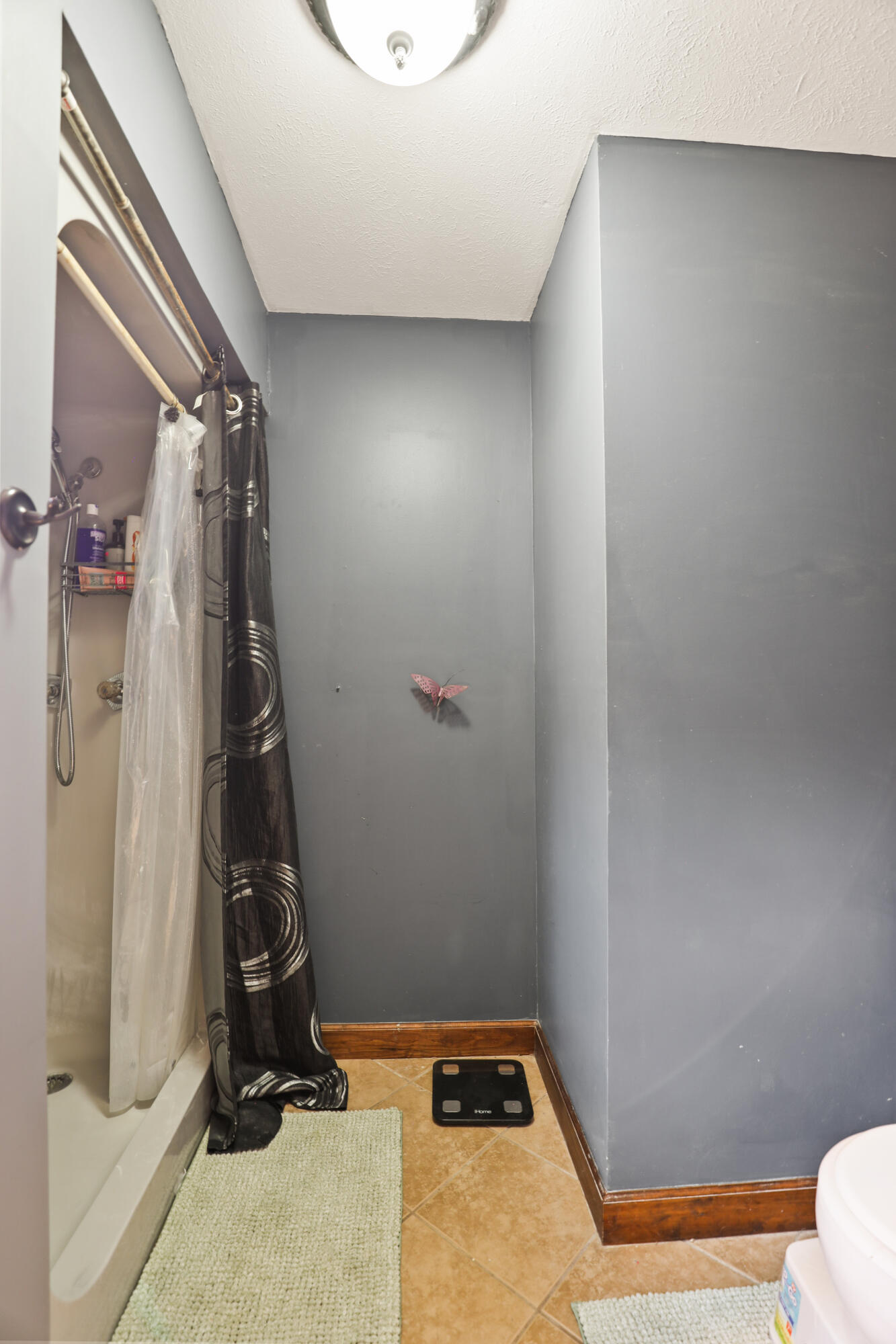 322 Spring Cut Circle Property Photo 18