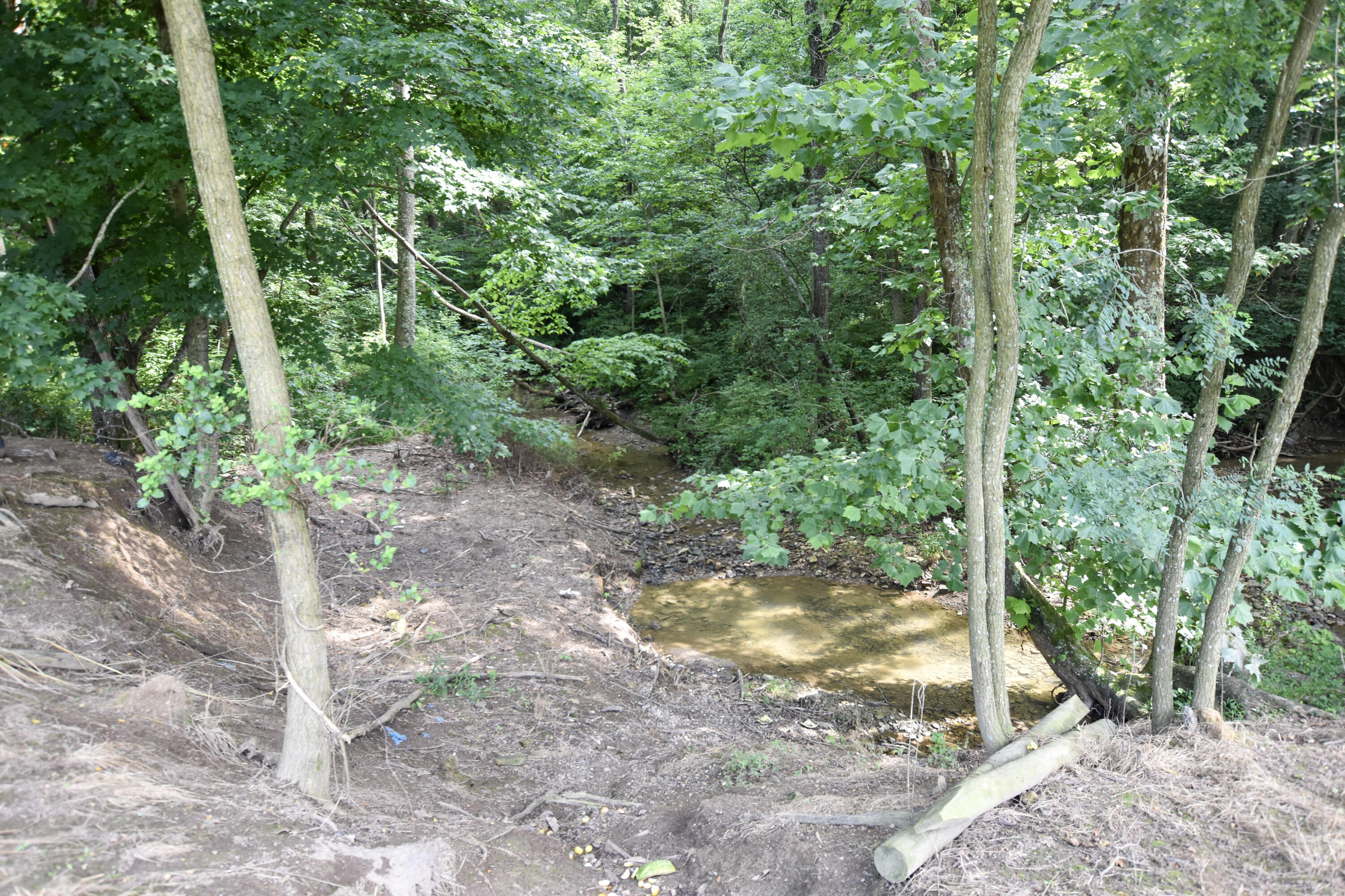444 May Hollow Road Property Photo 11